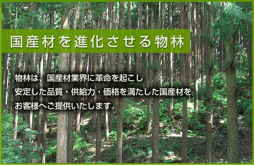国産材を進化させる物林