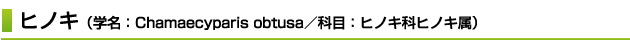 ヒノキ